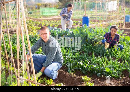 Jardinier amateur masculin concentré travaillant dans le jardin potager Banque D'Images