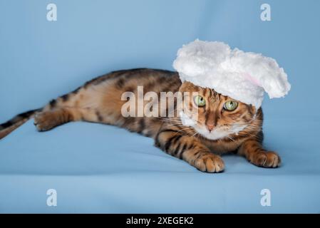 Chat Bengale mignon dans un costume de lapin. Banque D'Images