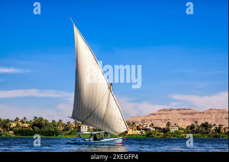 Bateau à voile traditionnel Felucca sur le Nil à Assouan Egypte Banque D'Images