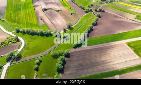 Route de campagne sinueuse dans la région de Ponidzie en Pologne. Vue aérienne par drone Banque D'Images
