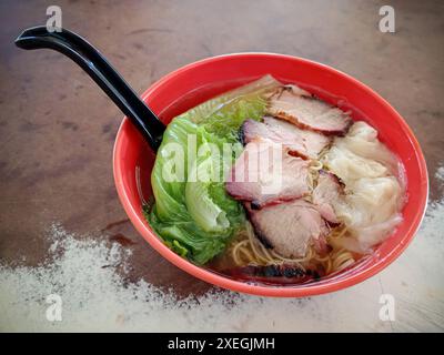 Les nouilles wonton ou Wantan MEE iis sont un plat de nouilles d'origine cantonaise. Le plat se compose généralement de nouilles aux œufs servies dans un bouillon chaud, garni de le Banque D'Images