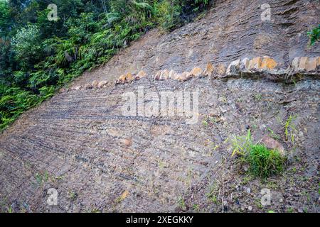 Grès et schiste intercalés dans les montagnes de Bornéo, Malaisie. Banque D'Images