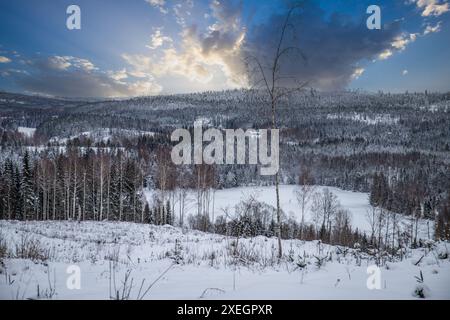 Paysage d'hiver au coucher du soleil. Une route avec de la neige dans la forêt avec des pins en Suède Banque D'Images