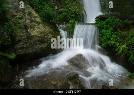 Cascade de Paglajhora , célèbre cascade en mousson, à Kurseong, montagnes himalayennes de Darjeeling, Bengale occidental, Inde. Origine de la rivière Mahananda. Banque D'Images