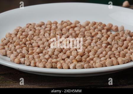 Cicer arietinum, pois chiches Banque D'Images