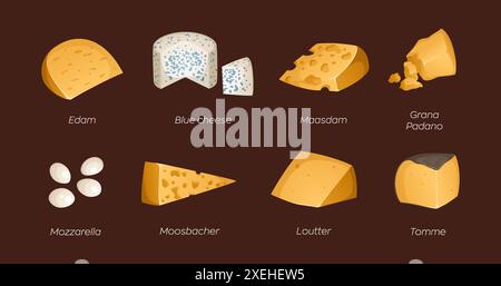 Ensemble de différents types de fromages. Illustration vectorielle avec texte. Idéal pour affiches et bannière, menu de café et boutiques Illustration de Vecteur