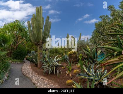 Cactus de différents types dans le pittoresque jardin Anima à Marrakech Banque D'Images