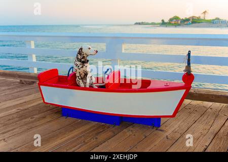 Chiot dalmatien assis dans un modèle de bateau en bois coloré sur un quai au coucher du soleil, avec des eaux calmes de l'océan et des balustrades en bois en arrière-plan. Banque D'Images