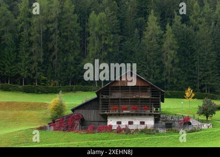 Ferme de montagne à Ortisei dans le Val Gardena, Italie Banque D'Images