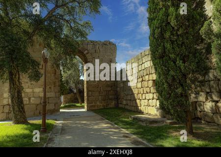 Vue sur les anciens remparts romains de Mérida, Espagne, entourés de grands cyprès et d'un lampadaire, sous un ciel bleu clair. La striction de pierre historique Banque D'Images