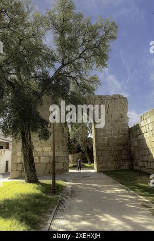 Vue sur les anciens remparts romains de Mérida, Espagne, entourés de grands cyprès et d'un lampadaire, sous un ciel bleu clair. La striction de pierre historique Banque D'Images