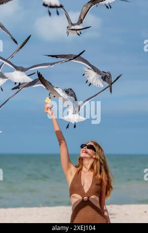 Seaside Serenity : une belle évasion avec des mouettes et des collations Banque D'Images