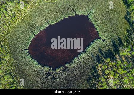 Vue aérienne par drone d'un lac idyllique dans un parc national norvégien Banque D'Images