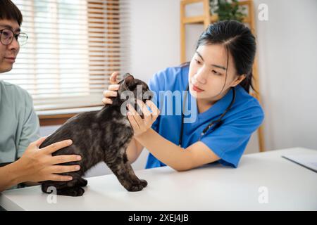 Vétérinaire professionnel aide le chat. chat propriétaire tenant l'animal sur les mains. Chat sur la table d'examen de la clinique vétérinaire. Vétérinaire c Banque D'Images