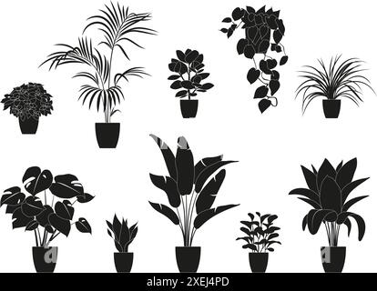 Collection silhouettes de plantes de maison de couleur noire. Plantes en pot isolées sur blanc. Plantes tropicales vertes. Décoration tendance avec plantes d'intérieur Illustration de Vecteur