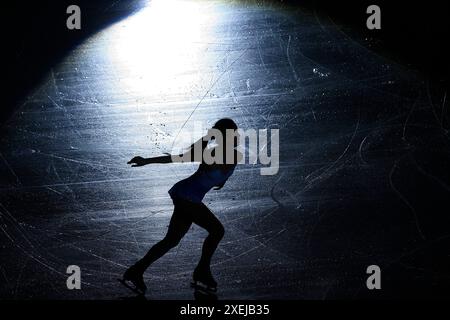 Patins de patins artistiques à l'honneur Banque D'Images