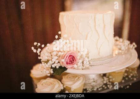 Affichage de gâteau de mariage avec charme rustique, souffle de bébé. Banque D'Images