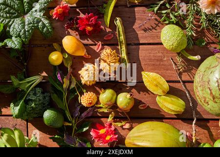 Fruits tropicaux exotiques sur la ferme de permaculture biologique à Hawaï Banque D'Images