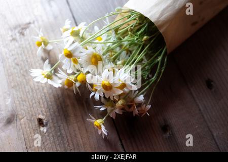 Bouquet de marguerites en papier sur fond en bois Banque D'Images