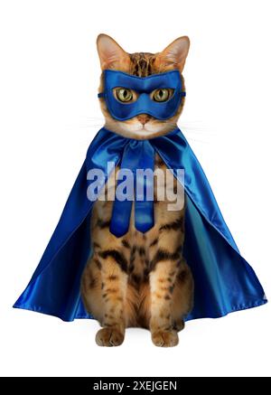 Un charmant chat rouge dans un costume de super-héros bleu est assis sur un fond blanc. Banque D'Images