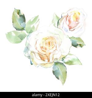 Roses blanches avec des feuilles vertes dans les fleurs de jardin de collection. Illustration aquarelle pour la conception florale de mariage de bouquets, couronnes, arrangements Banque D'Images