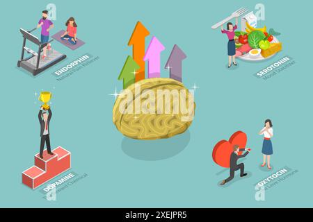 Illustration conceptuelle plate isométrique 3D des hormones heureuses, chimie du cerveau illustration conceptuelle plate isométrique 3D de Happ Banque D'Images