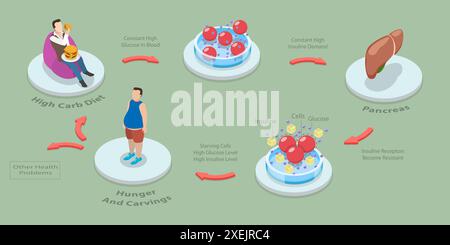3D Isométrique plat illustration conceptuelle du syndrome de résistance à l'insuline, schéma éducatif 3D Isométrique plat Concep Banque D'Images