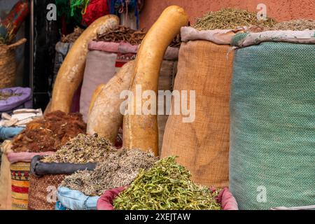 Vue détaillée d'un étal de marché à Marrakech vendant des herbes et des fleurs et des citrouilles décoratives Banque D'Images