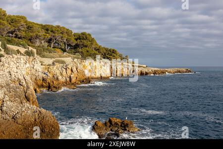 Côte du Cap d'Antibes à la CÃ d'Azur. Destination touristique célèbre en mer méditerranée en France, en Europe. Banque D'Images