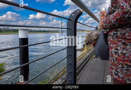 Petit chien dans le sac sur la promenade du Rhin à Dusseldorf, Allemagne Banque D'Images