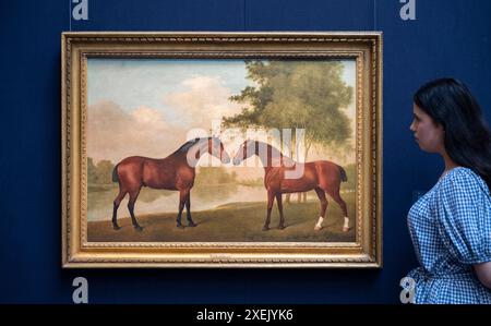 Sotheby's, Londres, Royaume-Uni. 28 juin 2024. La vente en soirée Sotheby's Old Masters a lieu le 3 juillet. Les meilleurs lots incluent : George Stubbs, deux chasseurs de baie communiant sur la rive d'un lac, 1790. Estimation de 400 000 à 600 000 £. Crédit : Malcolm Park/Alamy Live News Banque D'Images