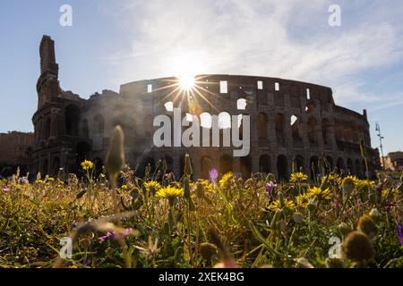 Rome. 28 juin 2024. Cette photo prise le 28 juin 2024 montre une vue du Colisée de Rome, Italie. Crédit : Li Jing/Xinhua/Alamy Live News Banque D'Images