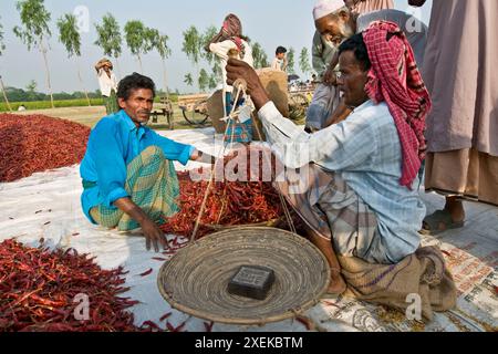 Bangladesh. Environs de Bogra. Banque D'Images