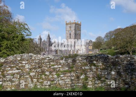 Cathédrale St Davids par une chaude journée ensoleillée Banque D'Images