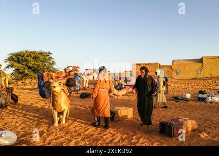 Mauritanie, Chinguetti, chauffeur de chameaux local Banque D'Images