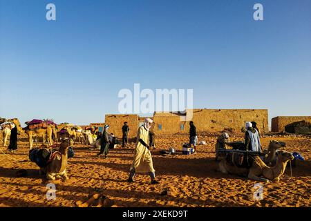 Mauritanie, Chinguetti, chauffeur de chameaux local Banque D'Images