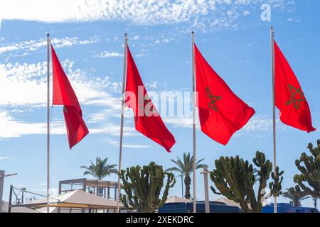 Drapeau national marocain rouge flattes tissu de soie contre le ciel, étoile à cinq branches, bâtiment du gouvernement, jour de l'indépendance, commerce mondial, affaires et cou Banque D'Images