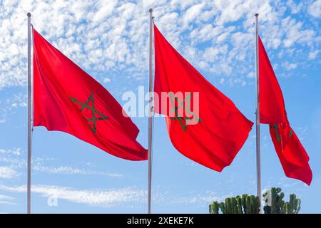 Drapeau national marocain rouge flattes tissu de soie contre le ciel, étoile à cinq branches, bâtiment du gouvernement, jour de l'indépendance, commerce mondial, affaires et cou Banque D'Images