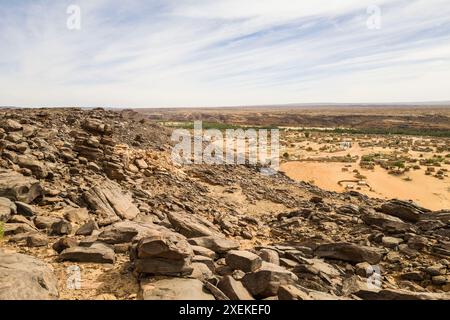 Mauritanie, M'Haireth oasi, paysage Banque D'Images