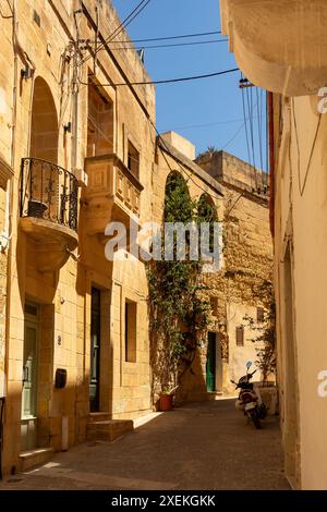 Maison traditionnelle maltaise bordant des rues étroites dans la ville silencieuse Mdina, ornée de portes colorées et de fleurs, capturant l'essence de l'architecte local Banque D'Images