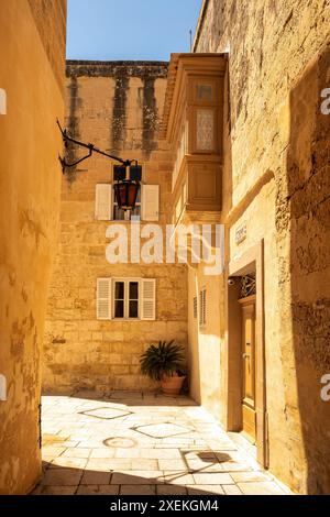 Maison traditionnelle maltaise bordant des rues étroites dans la ville silencieuse Mdina, ornée de portes colorées et de fleurs, capturant l'essence de l'architecte local Banque D'Images