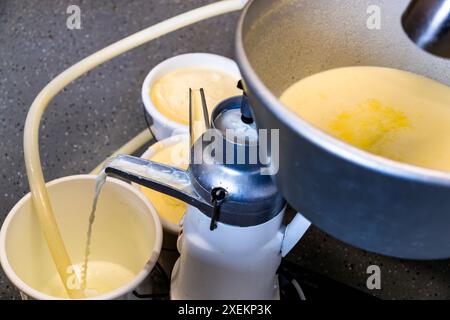 Dans la laiterie de l'agricultrice Bettina Huber sur la ferme Promegghof dans le Salzbourg. Le lait frais des alpages est séparé en lait écrémé et en crème. La crème, qui est ensuite utilisée pour faire du beurre, est très jaune en été en raison des herbes dans les prairies alpines. Une centrifugeuse est utilisée pour séparer la crème du lait entier pour la production ultérieure de beurre. Promegg, Salzbourg, Autriche Banque D'Images