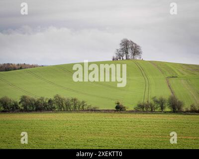 Vue de Castle Hill à Brightwell Barrow, Bronze Age Round barrow, Oxfordshire Banque D'Images