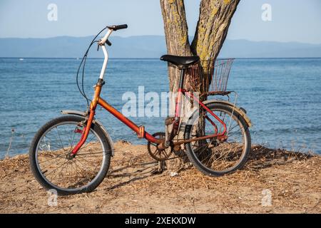 Vieux vélo rouillé assis à l'arbre près de la mer Banque D'Images