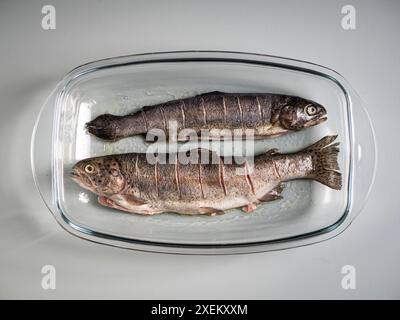 Deux saumons entiers frais avec des découpes latérales dans un plat de cuisson en verre, préparation des aliments, poisson rôti, nourriture pour prêt Banque D'Images