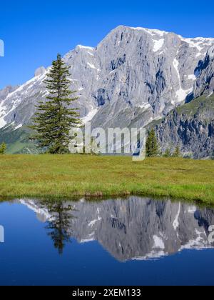 La montagne Hochkoenig par une journée ensoleillée en été, ciel bleu, reflet dans un petit étang Mühlbach am Hochkönig Autriche Banque D'Images