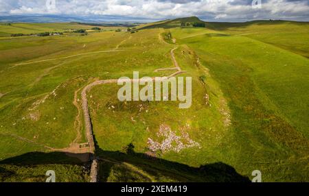 Vue aérienne de Sycamore gap prise après que l'arbre a été abattu dans un acte de vandalisme en 2023. Hadrien walll, Northumberland, Angleterre Banque D'Images