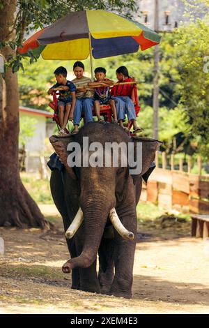 Les touristes apprécient une balade à dos d'éléphant en Asie du Sud-est ; Laos Banque D'Images