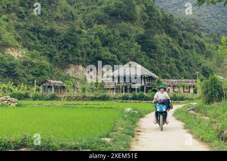 Un jeune homme fait du vélo dans les rizières du village isolé de Ngoc chien, dans le district de Muong la au Vietnam Banque D'Images