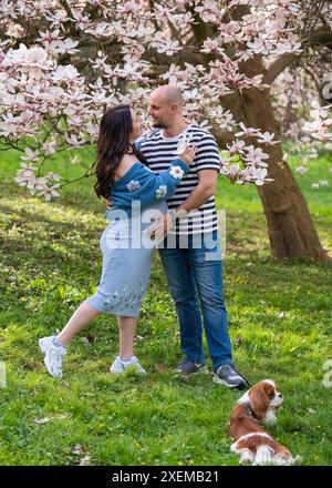 Un homme embrasse tendrement sa femme enceinte. La femme porte une robe bleue. Couple homme et femme enceinte près des fleurs de magnolia Banque D'Images